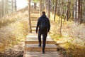 A man with a backpack up the stairs in the woods. Sunny wood. Wooden staircase