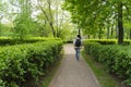 A man with a backpack walks in the park on the path in early spring. Recreation, walking, forest, vegetation