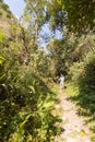 Man backpacker tourist hiking jungle trail, Bolivia.