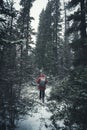 Man backpacker wearing winter coat walking in deep pine forest on blizzard Royalty Free Stock Photo