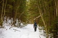 Man is backpacking in winter forest