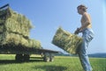 A man bailing hay on a cattle farm Royalty Free Stock Photo