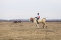 Man is bareback riding an adorned horse before an Epiphany celebration horse race