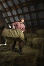 Man in Barn Moving Bales of Hay Royalty Free Stock Photo