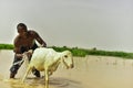 Man bath for is ram in a river Royalty Free Stock Photo