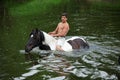 Man bathes horse in the river Royalty Free Stock Photo