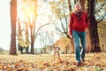 Man with beagle dog walk together in autumn park Royalty Free Stock Photo