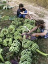 Man with beard and bananas