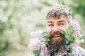 Man with beard of flowers. Happy Bearded man smile with lilac flowers on sunny day. Hipster enjoy scent of spring Royalty Free Stock Photo