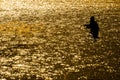 Man with Beard Flyfishing Fly Fishing in River Silhouette with Sunlight Royalty Free Stock Photo