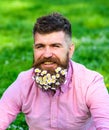 Man with beard on happy face enjoy life in ecologic environment. Bearded man with daisy flowers in beard, grass