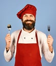 Man with beard holds kitchenware on blue background. Chef holds cutlery. Professional cookery concept. Cook with happy