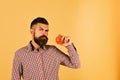 Man with beard holds red apple isolated on yellow background