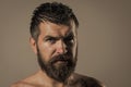 Man with beard and mustache. Barber fashion and tattoo beauty. Royalty Free Stock Photo