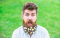 Man with beard and mustache enjoy spring, green meadow background. Springtime concept. Hipster on shocked surprised face Royalty Free Stock Photo