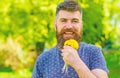 Man with beard and mustache on happy face holds bouquet of dandelions. Bearded man holds yellow dandelions. Romantic