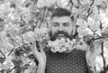 Man with beard and mustache on happy face near branches with tender pink flowers. Bearded man with bloom of sakura tree