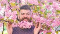 Man with beard and mustache on happy face near branches with tender pink flowers. Hipster with sakura blossom in beard