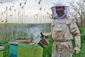 Portrait of a man in the bee suit, in addition to the hive