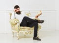 Man with beard and mustache sits on armchair, holds book, white wall background. Reflections on literature concept Royalty Free Stock Photo