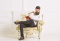 Man with beard and mustache sits on armchair and reading, white wall background. Connoisseur, professor enjoy literature Royalty Free Stock Photo