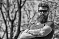 Man with beard and mustache on strict face, nature background, defocused. Bearded man wears modern sunglasses. Hipster Royalty Free Stock Photo