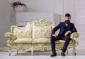 Man with beard and mustache wearing fashionable classic suit, sits on old fashioned couch or sofa. Macho attractive and