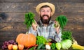 Man with beard proud of his harvest wooden background. Excellent quality harvest. Organic fertilizers make harvest