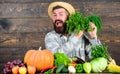 Man with beard proud of his harvest wooden background. Organic fertilizers make harvest healthy and rich. Farmer with