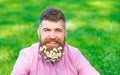 Man with beard on smiling face enjoy life without allergy. Bearded man with daisy flowers in beard, grass background