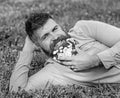 Man with beard on smiling face enjoy nature. Bearded man with daisy flowers lay on meadow, lean on hand, grass Royalty Free Stock Photo