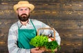 Man bearded farmer presenting eco vegetables wooden background. Farmer straw hat deliver fresh vegetables. Farm delivery Royalty Free Stock Photo