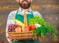 Man bearded gardener presenting eco vegetables wooden background. Fresh organic vegetables in wicker basket. Farmer Royalty Free Stock Photo