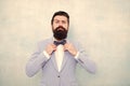 Man bearded hipster formal suit with bow tie. Wedding fashion. Formal style perfect outfit. Impeccable groom. Tips for Royalty Free Stock Photo