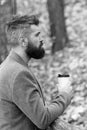Man bearded hipster prefer coffee take away. Businessman bearded guy drink coffee outdoors. Hipster hold paper coffee Royalty Free Stock Photo