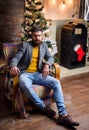 Man bearded hipster relax sit armchair near christmas tree. Feel like home. Man mature confident guy with beard relax at Royalty Free Stock Photo