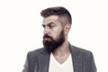 Man bearded hipster stylish fashionable jacket. Casual jacket perfect for any occasion. Feeling comfortable in natural Royalty Free Stock Photo