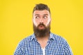 Man bearded hipster wondering face yellow background close up. Guy surprised face expression. Hipster with beard and