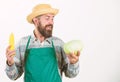 Man bearded presenting corncob maize and cabbage white background isolated. Hipster gardener in apron hold vegetable