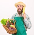 Man bearded presenting vegetables white background isolated. Farmer straw hat hold corncob and basket vegetables. Fresh Royalty Free Stock Photo