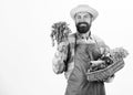 Man bearded presenting vegetables white background isolated. Farmer straw hat hold parsley and basket vegetables. Fresh Royalty Free Stock Photo