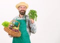 Man bearded presenting vegetables white background isolated. Farmer straw hat hold parsley and basket vegetables. Fresh Royalty Free Stock Photo