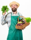 Man bearded presenting vegetables white background isolated. Fresh organic vegetables wicker basket. Hipster gardener Royalty Free Stock Photo