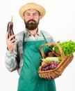 Man bearded presenting vegetables white background isolated. Hipster gardener wear apron carry vegetables. Farmer straw Royalty Free Stock Photo