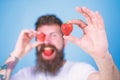 Man bearded winking with red berry, defocused. Man handsome hipster long beard eat hold strawberry. Perfect strawberry