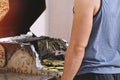 Man from behind cooking steaks and zucchini medallions on grill Royalty Free Stock Photo