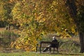 Man on bench in autumn in Denmark