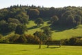 Man on bench. Grass lawn. England Royalty Free Stock Photo