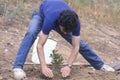 A man bending down and planting a small tree