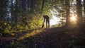 Man bending down to pet his black dog as they enjoy a beautiful